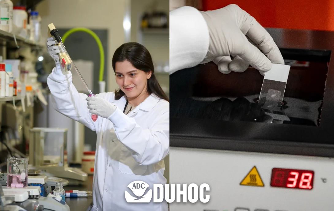 Biotech vs Biomedical