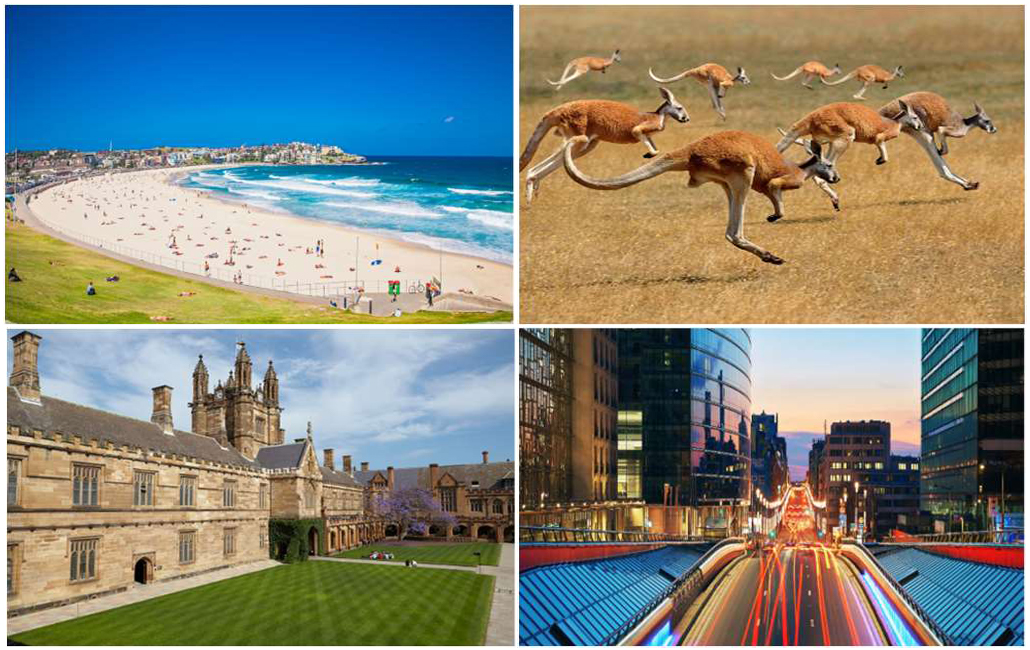 Trai he Uc Study Tour Australia