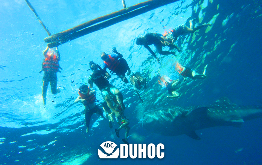 Tour du lịch & học tiếng Anh cho cả gia đình hè 2025 Philippines 1 tuần Cebu tháng 6/2025